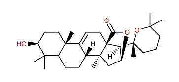 Philinopgenin B